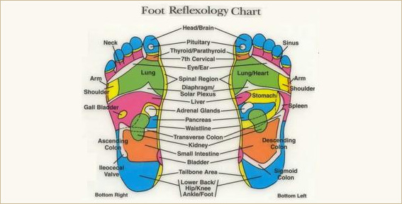 Foot Reflexology Cart
